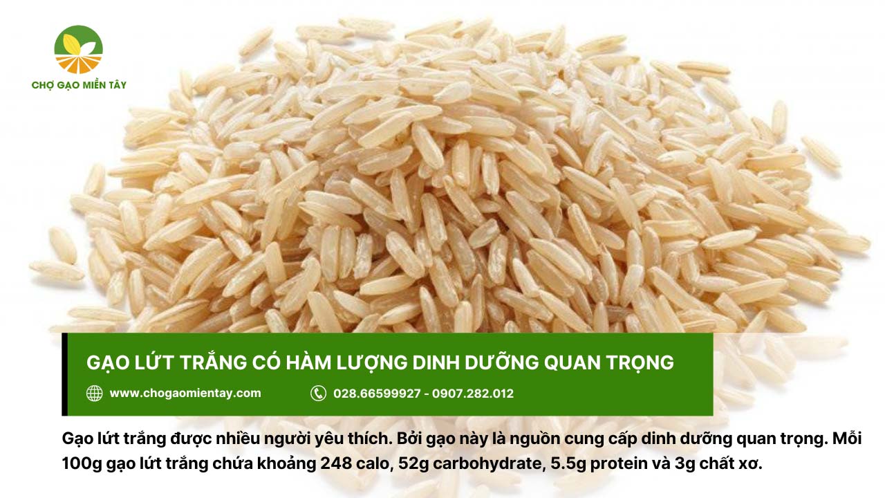 Gạo lứt trắng chứa nhiều dinh dưỡng quan trọng