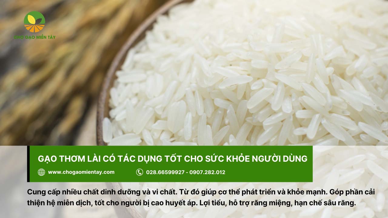 Gạo Thơm Lài chứa nhiều dinh dưỡng và vi chất