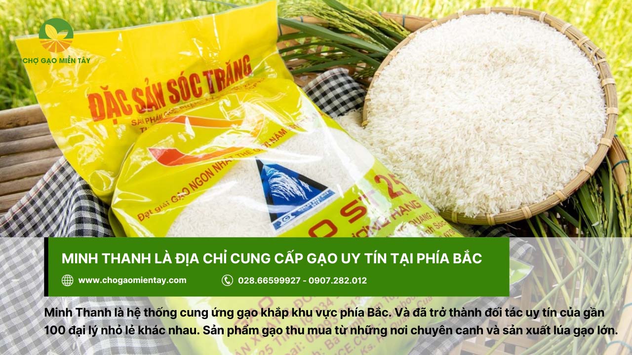 Minh Thanh - địa chỉ bán gạo ST25 chất lượng ở Hà Nội