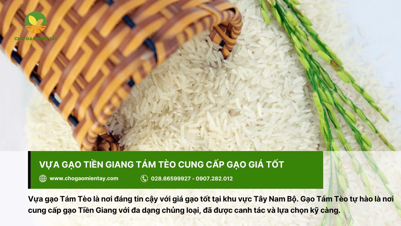 Mua gạo giá tốt ở vựa Tám Tèo - Tiền Giang