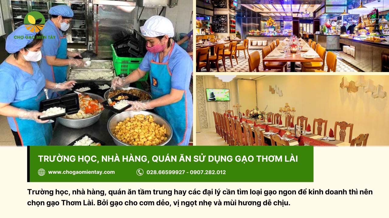 Trường học, nhà hàng hay quán ăn đều chọn gạo Thơm Lài để kinh doanh