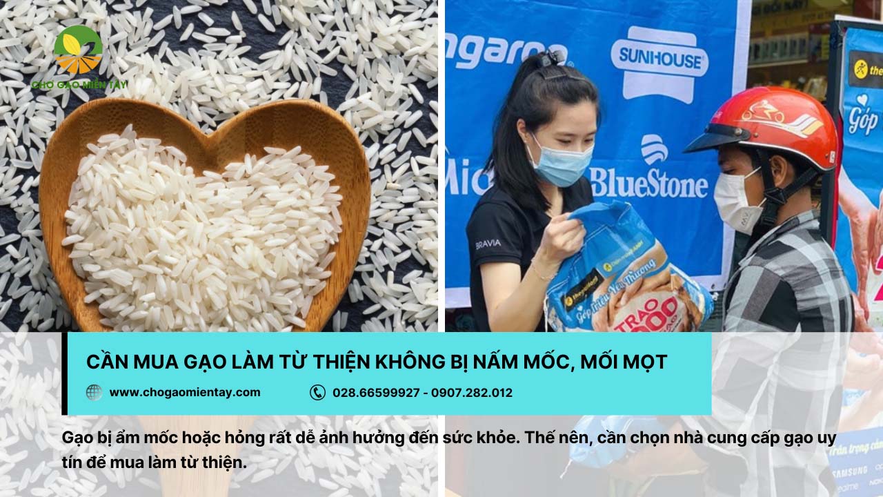 Chọn gạo từ thiện là loại gạo không bị nấm mốc, mối mọt