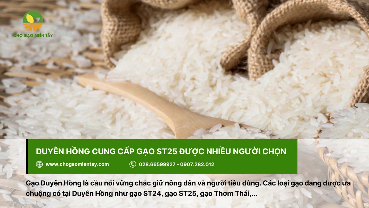 Gạo Duyên Hồng cung cấp đa dạng loại gạo, trong đó có ST25