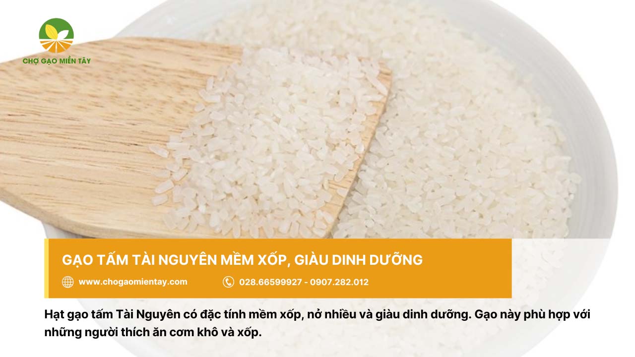 Gạo tấm Tài Nguyên thích hợp để nấu cơm tấm