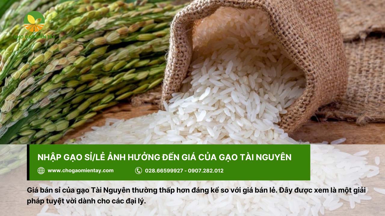 Giá bán sỉ của gạo Tài Nguyên thường thấp hơn so với giá bán lẻ