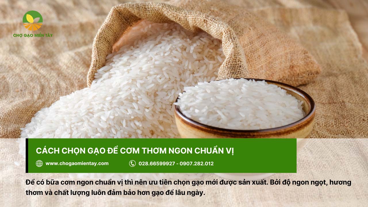 Ưu tiên chọn gạo mới sản xuất để đảm bảo độ ngon và giá trị dinh dưỡng