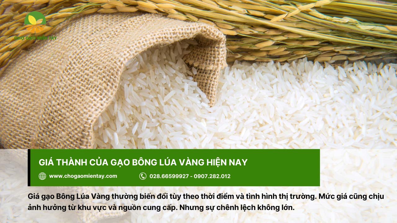 Giá của gạo Bông Lúa Vàng tùy thuộc vào biến động thị trường gạo