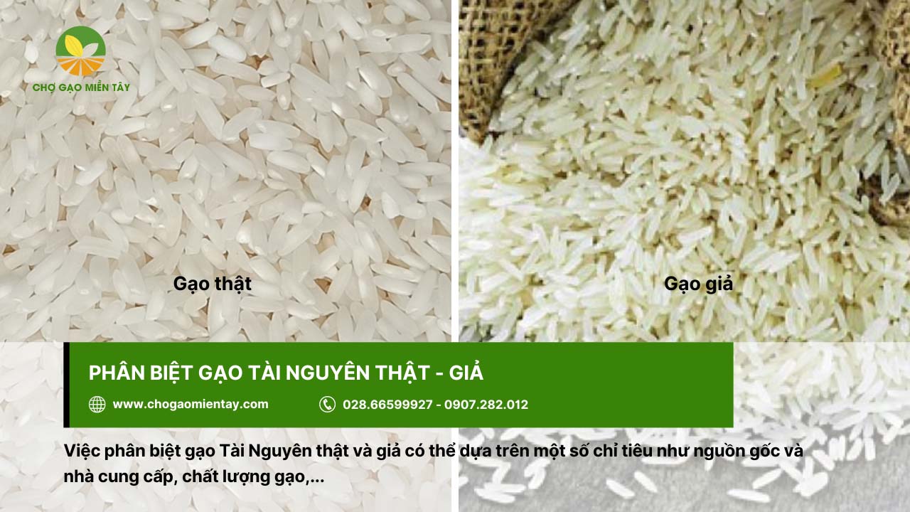 Phân biệt gạo Tài Nguyên thật giả thông qua chất lượng gạo