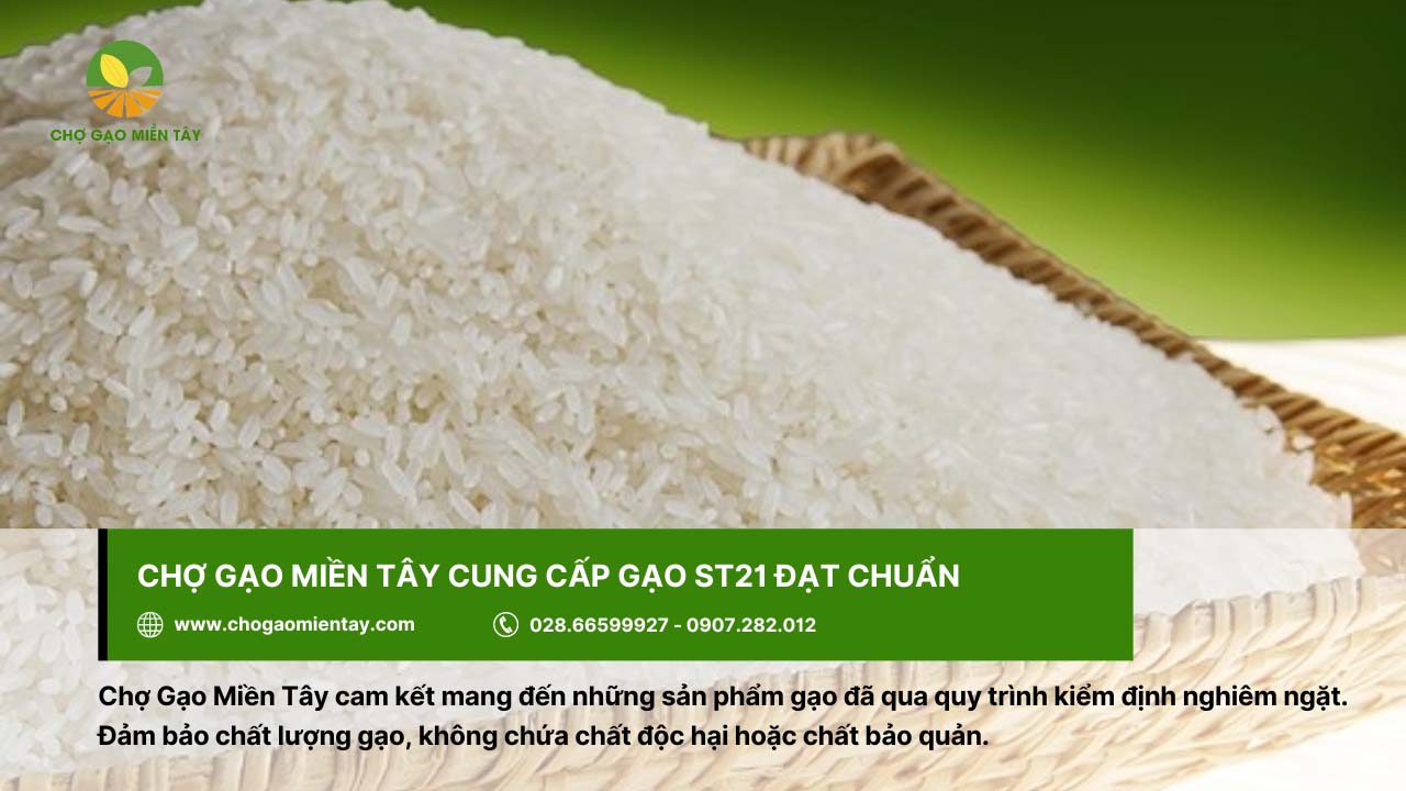 Chợ Gạo Miền Tây cung cấp gạo uy tín và chất lượng