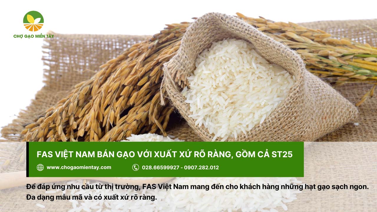 FAS Việt Nam chuyên cung cấp gạo ST25 sạch và chất lượng