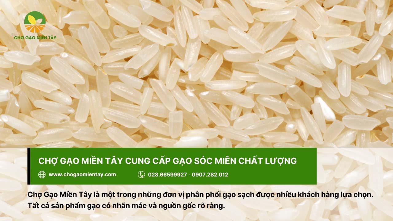 Mua gạo Sóc Miên chất lượng tại Chợ Gạo Miền Tây