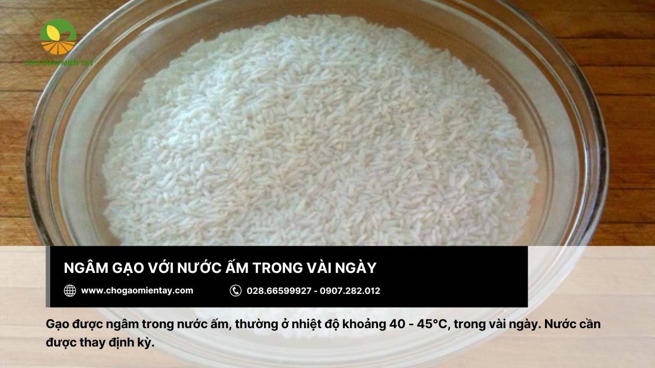 Ngâm gạo trong nước ấm và thay nước định kỳ