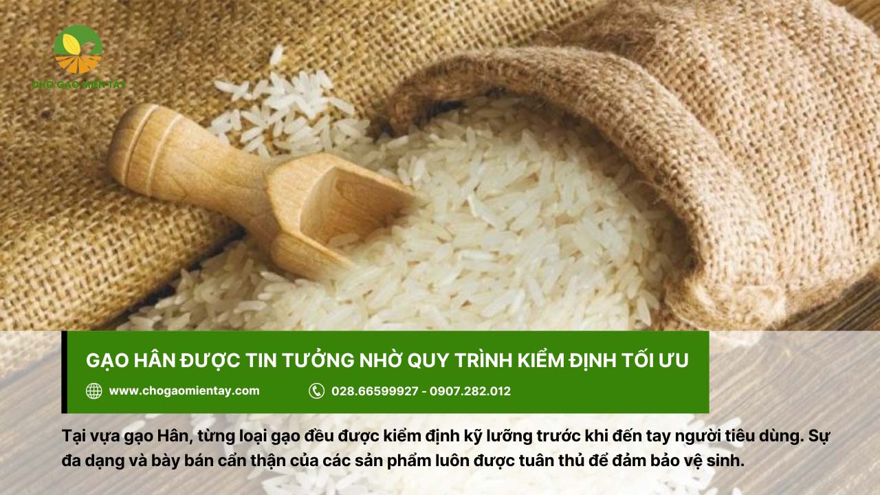 Vựa gạo Hân với quy trình kiểm định gạo chặt chẽ