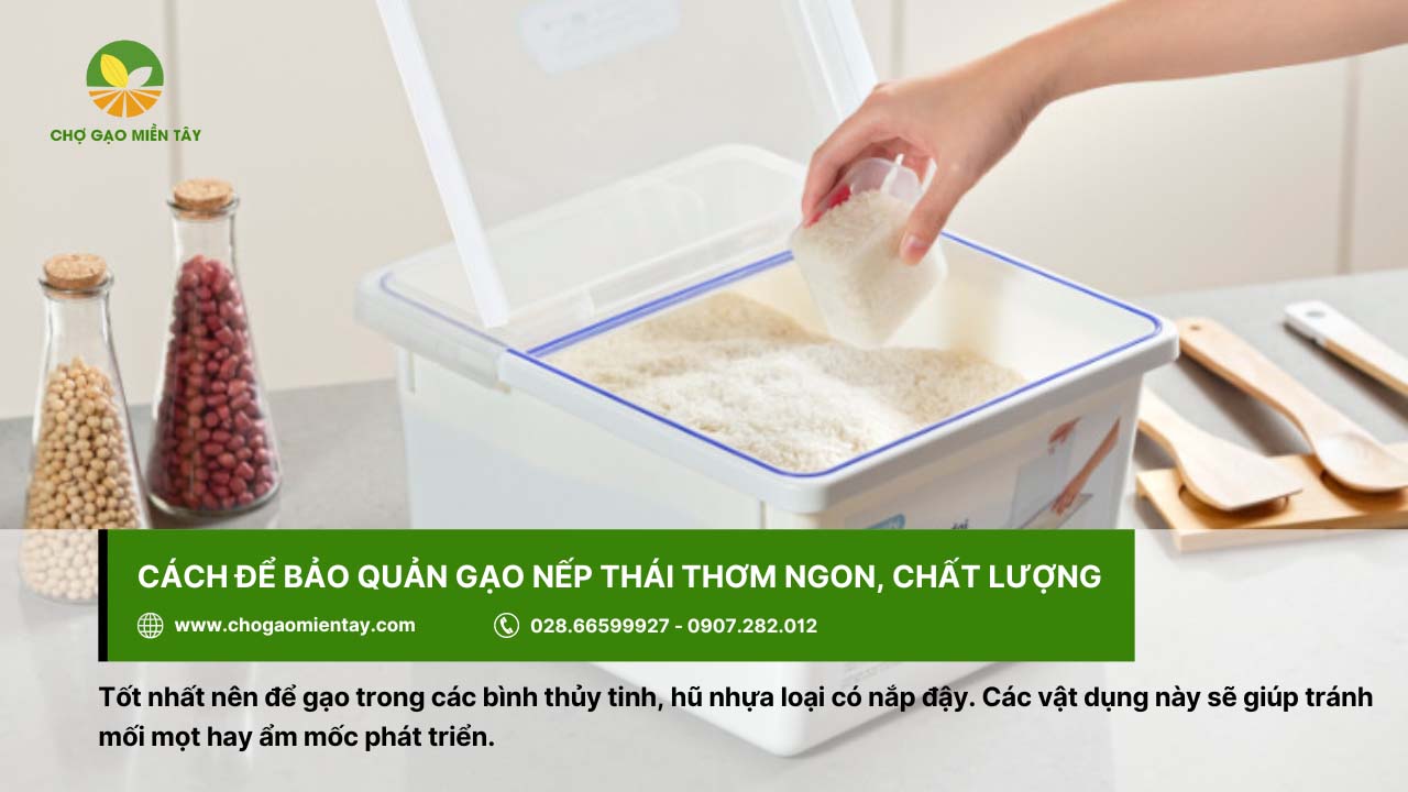 Bảo quản gạo nếp Thái kỹ lưỡng, tránh xuất hiện ẩm mốc hay mối mọt