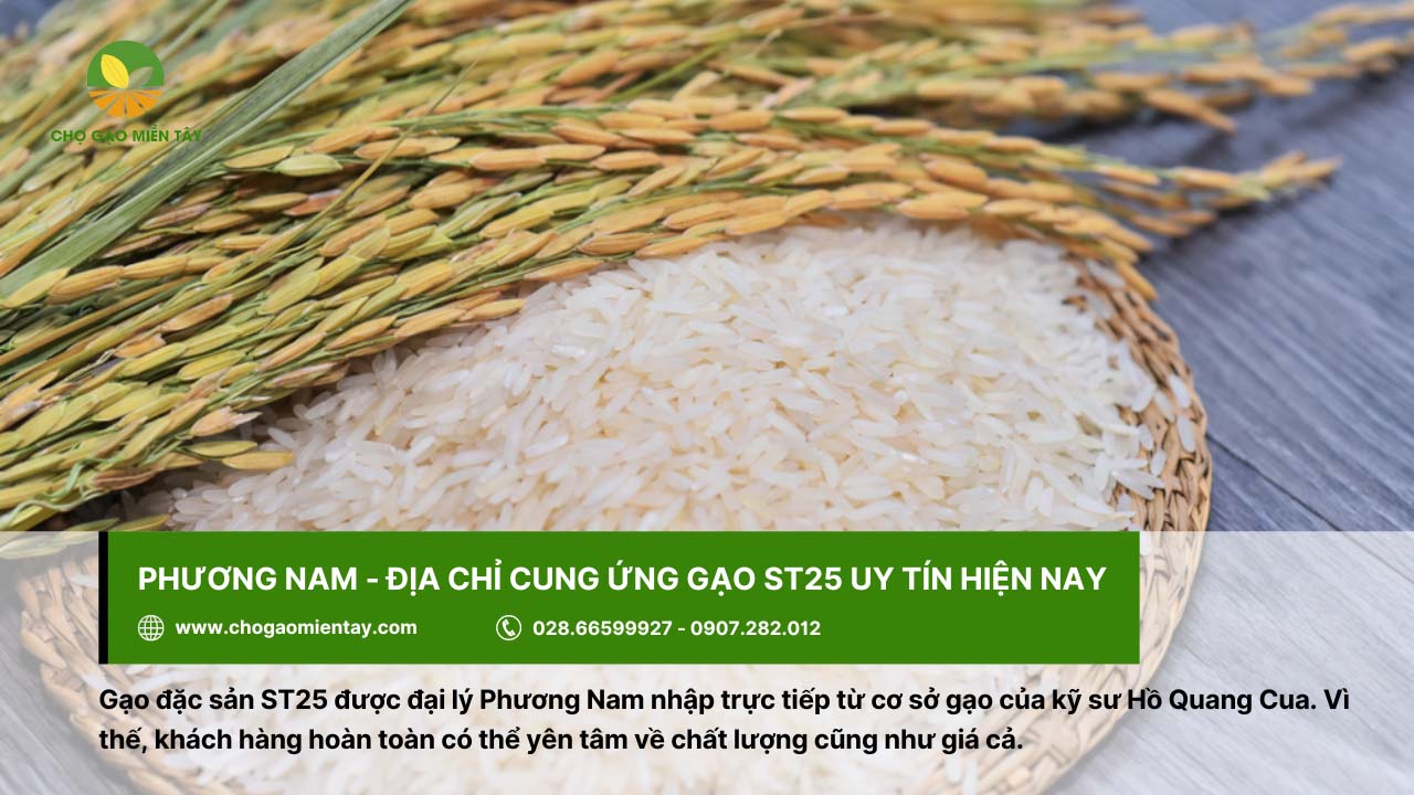 Phương Nam được nhiều người dùng tin tưởng lựa chọn gạo ST25