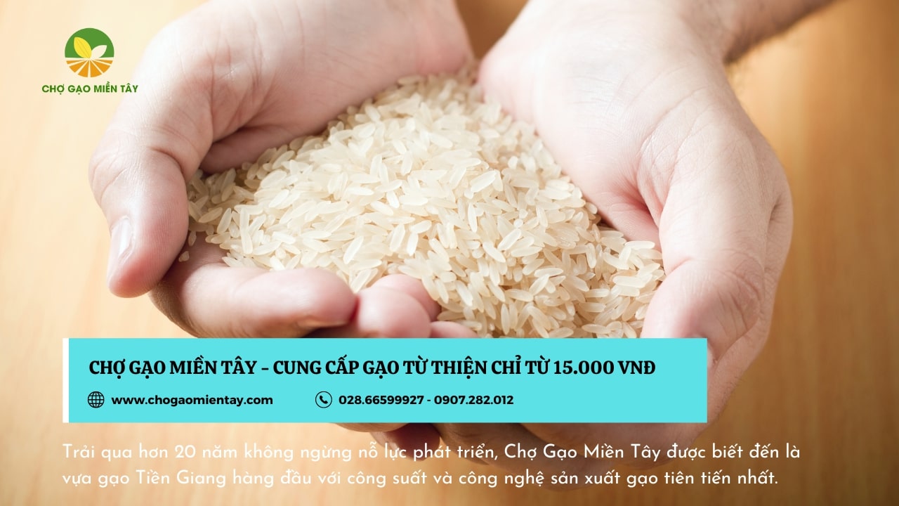 Chợ Gạo Miền Tây cung cấp gạo từ thiện giá sỉ chỉ từ 15000đ/kg